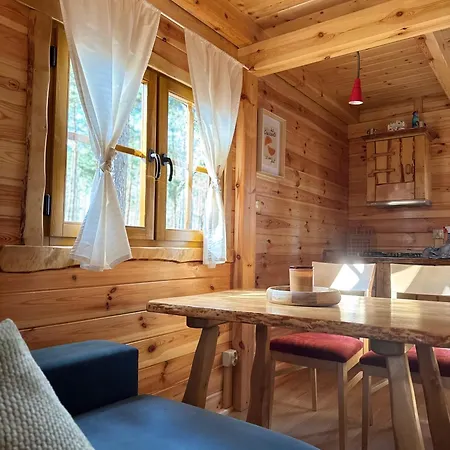 Lesny Brzeg, Borsk